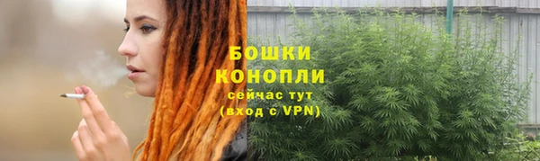 экстази Гусев