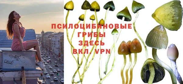 наркотики Гусиноозёрск