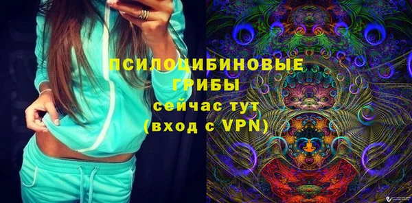 кокс Гусь-Хрустальный