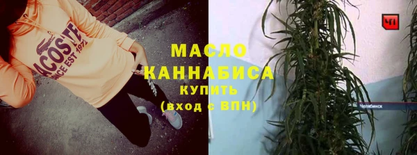 экстази Гусев