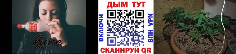 kraken   наркотики  Керчь  дарк нет состав  Конопля THC 21% 